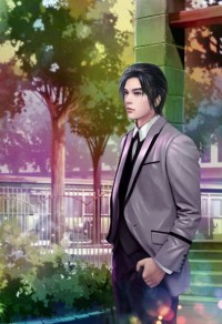 案件系列